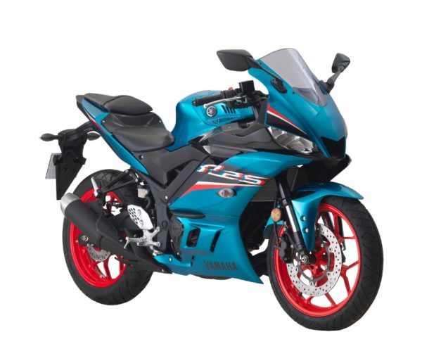 YAMAHA R25